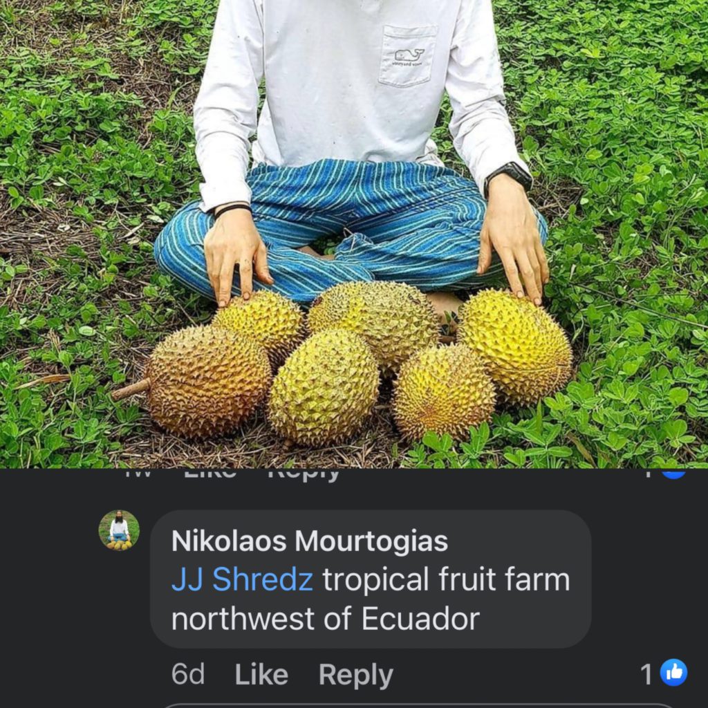 A person stands outdoors at Nikolaos Mourtogias JJ Shredz tropical fruit farm northwest of Ecuador, holding a durian with the text "6d" written on it.