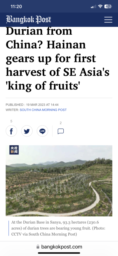 Durian trees at the Durian Base in Sanya, China are preparing to harvest their first crop of the "king of fruits" in Southeast Asia. Full Text: 11:20 47 Bangkok Post Durian from China? Hainan gears up for first harvest of SE Asia's 'king of fruits' PUBLISHED : 19 MAR 2023 AT 14:44 WRITER: SOUTH CHINA MORNING POST 5 2 f LINE 央视 新闻 At the Durian Base in Sanya, 93.3 hectares (230.6 acres) of durian trees are bearing young fruit. (Photo: CCTV via South China Morning Post) bangkokpost.com