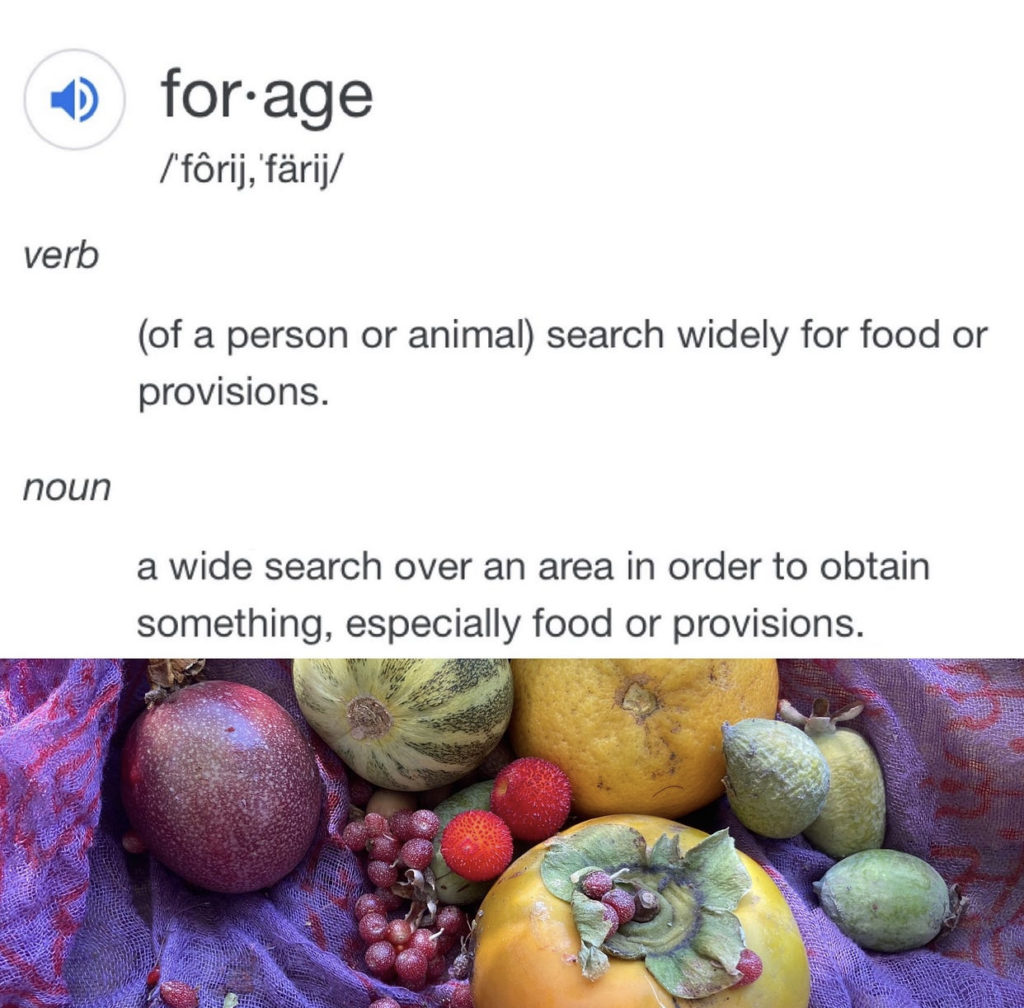 A person or animal is searching widely for food or provisions in order to obtain them. Full Text: for·age /'fôrij, färij/ verb (of a person or animal) search widely for food or provisions. noun a wide search over an area in order to obtain something, especially food or provisions.