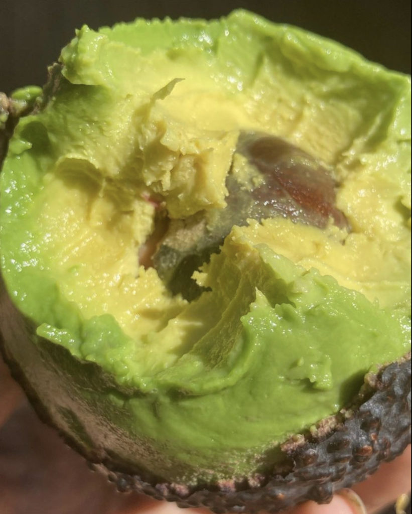 A green avocado plant sits atop a delicious dessert inside an indoor setting.