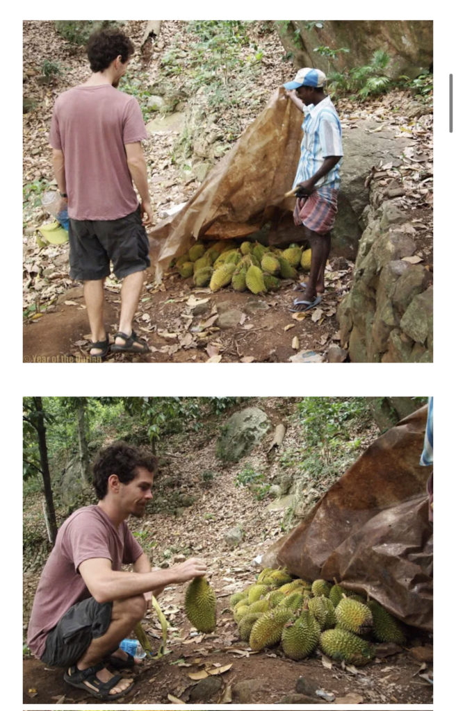 A person and a person are hiking outdoors amongst plants.