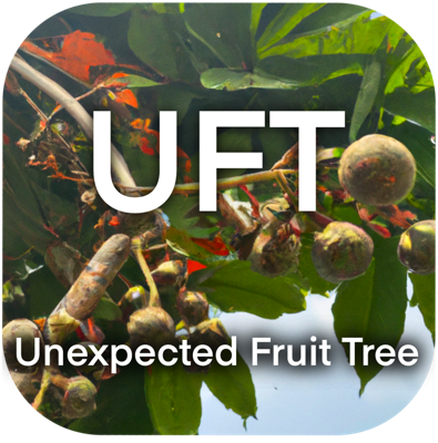  UnexpectedFruit🌳