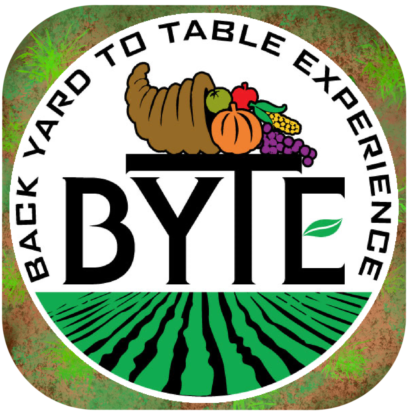 BYTE